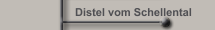 Distel vom Schellental